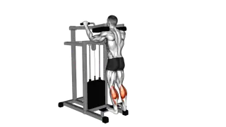 Lever Standing Calf Raise exercise