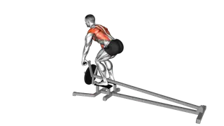 Lever T bar Row (plate loaded)