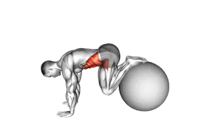 Pull In (on stability ball)