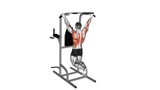 Pull up (wide grip) exercise