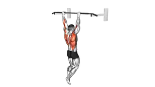Pull up exercise