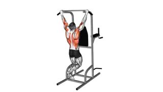 Rear Pull up