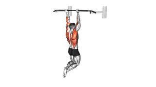 Reverse grip Pull up exercise