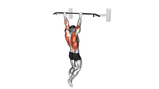 Rocky Pull Up Pulldown