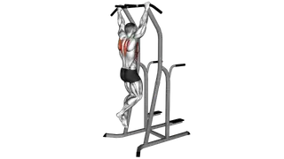 Scapular Pull Up