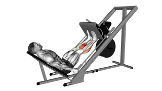 Sled 45 Calf Press exercise
