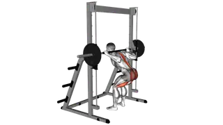 Smith Bent Knee Good morning exercise