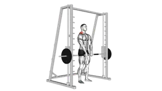 Smith Shrug exercise