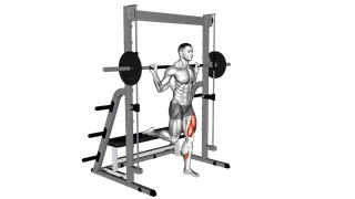 Smith Single Leg Split Squat exercise