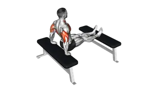 Triceps Dip (bench leg)