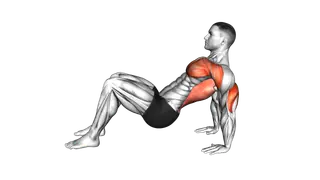 Triceps Dips Floor