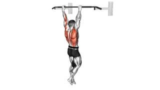 Weighted Pull Up