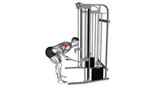 Cable kickback exercise