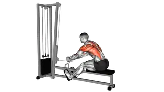 Cable Seated Row exercise