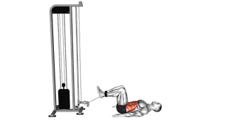 Cable Reverse Crunch exercise