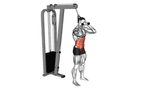 Cable Standing Crunch (with rope attachment) exercise