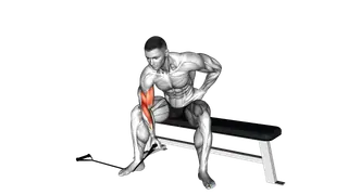 Band Concentration Curl exercise