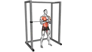 Band Horizontal Pallof Press exercise