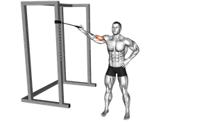 Band One Arm Overhead Biceps Curl exercise