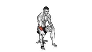 Band Reverse Wrist Curl exercise