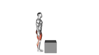 Bodyweight Step over Box exercise