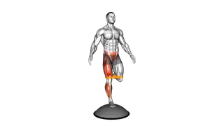 Resistance Band Bosu Ball Single Leg Balance exercise