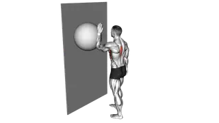 Exercise Ball Serratus Wall Single Leg Slide exercise