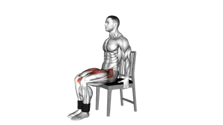 Weighted Seated Marching on a Chair