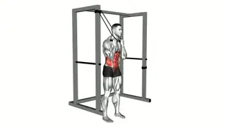 Band standing twisting crunch exercise