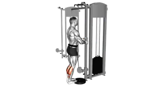 Cable Standing Calf Raise exercise