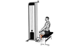 Cable Sitting Calf Raise exercise