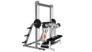 Smith Donkey Calf Raise exercise