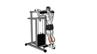 Lever Standing Single Leg Calf Raise exercise
