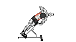 Medicine Ball 45 degree Side Bend exercise