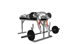 Barbell Lying Biceps Curl exercise