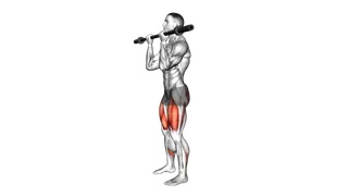 Barbell Core Squat exercise