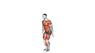 Arm Raise Back Leg Swing exercise