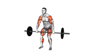 Barbell High Pull exercise