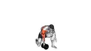 Dumbbell Half Kneeling Single Arm Clean Press (ma