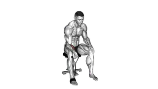 Band Wrist Curl exercise
