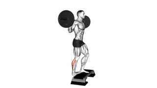Barbell Standing Single Leg Calf Raise