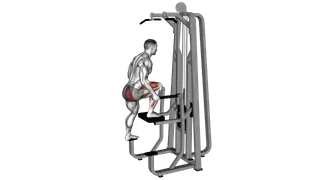 Assisted Single Leg Press exercise