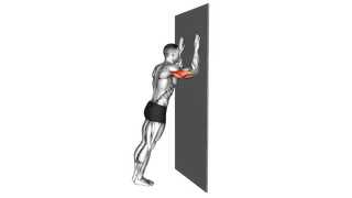 Wall Triceps Dip