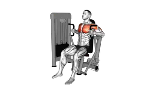 Lever Parallel Chest Press