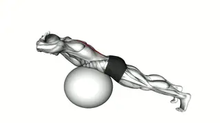 Hyperextension on a Exercise Ball exercise