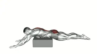 Reverse Hyperextension on Box