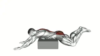 Reverse Frog Hyperextension on Box exercise