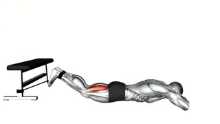 Band Lying Leg Curl exercise