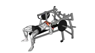 Lever Lying Chest Press (plate loaded) exercise