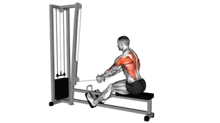 Cable Elevated Row exercise